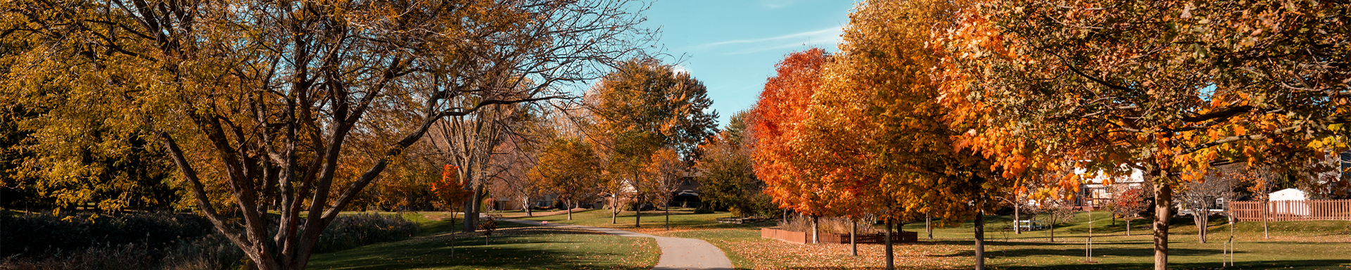 Fall trees lining Mud Creek