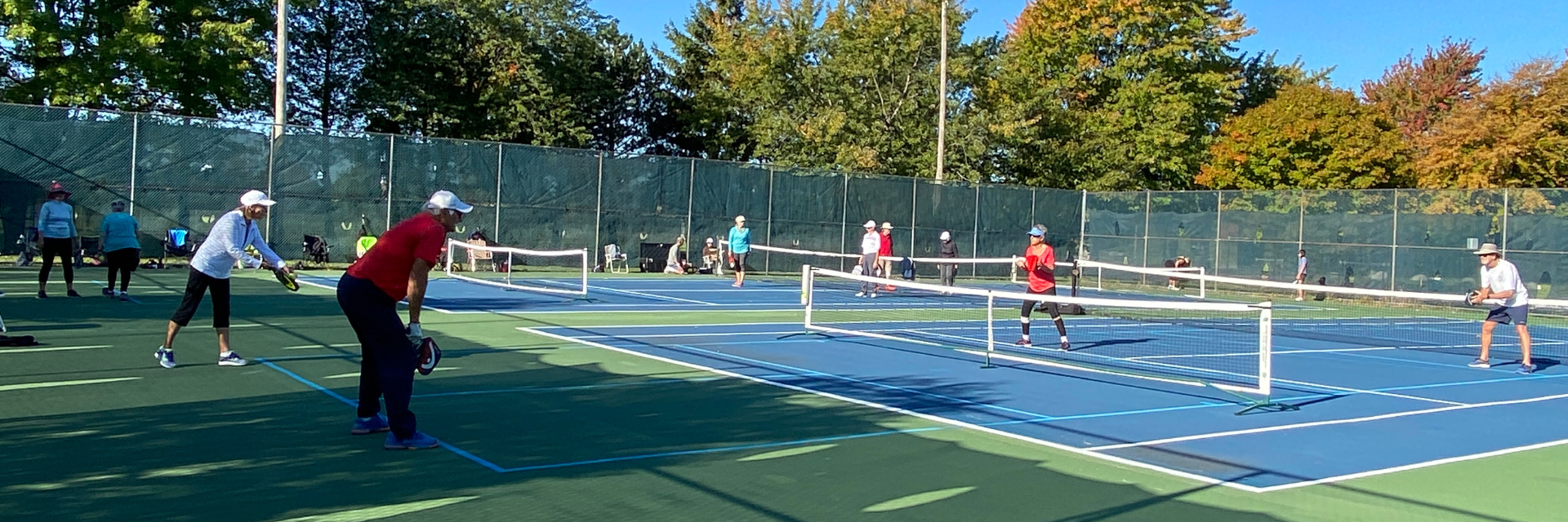 Adults playing pickleball