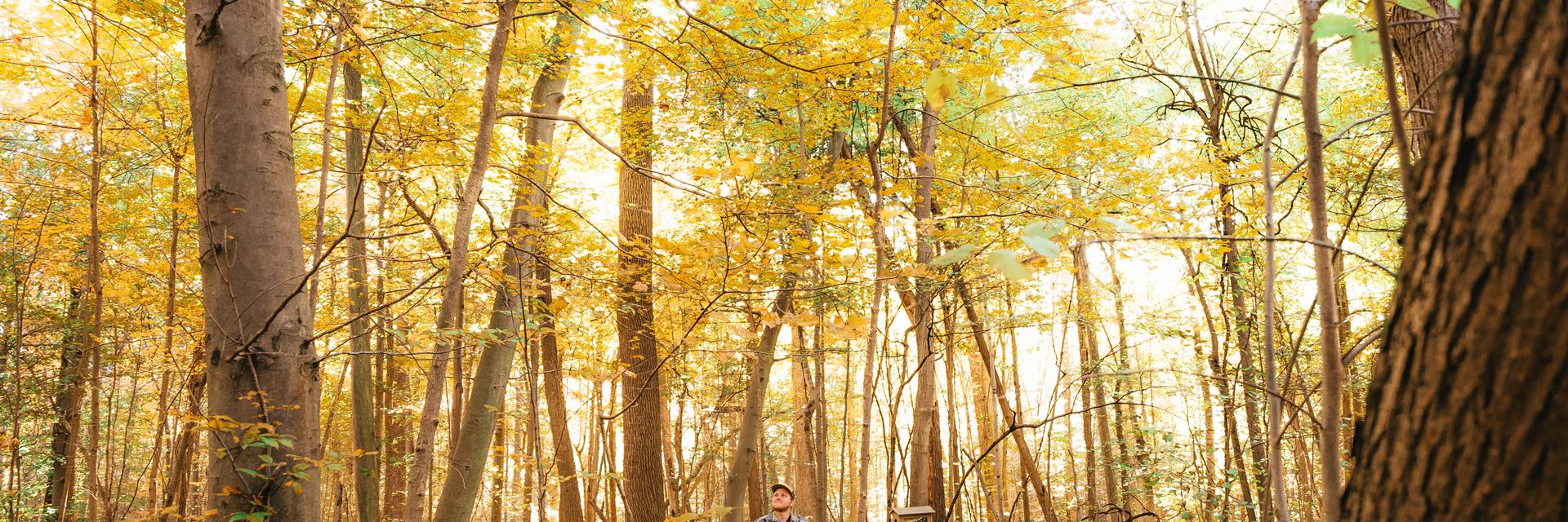 person on a walking bridge in the fall in a park 